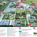 아름다운 거제, 어반스케치 | 거제가볼만한곳 거제 축제 제19회 거제섬꽃축제에서 알차게 축제 즐기기