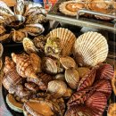 하와이조개춘천점 이미지