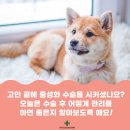 곤지암동물병원