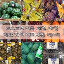 본우리집밥코스트코광명점 | 광명 코스트코 여름 제철 과일 28가지 가격 후기 상품 100% 만족 보증제 환불 방법 총정리
