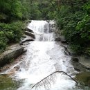 월봉산(경남 함양 1,281m)+난데이계곡 8월 9일 이미지