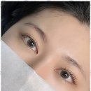 아미브로우