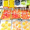 구리청과공판장 | 추석 선물 고민 끝! 구리 농수산물 시장 과일 선물세트 가격 & 구매 후기