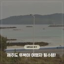 제주도 짐옮김이 캐리어 배송 짐캐리 내돈내산 후기(숙소-공항)