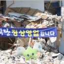 💫NCT WISH 임시 달글💫 이미지