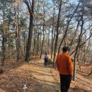 해룡펜션 이미지