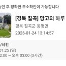 망고 애견 티스토리