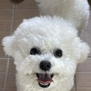 권삼식 네이버블로그