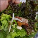 돈의보감 이미지