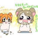 럽토리