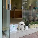 윔스(WIMS) 이미지