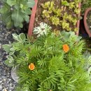 마음애고향 이미지