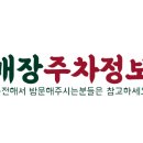 매미성임실치즈호떡