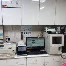 영등포 동물병원 이미지