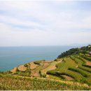 창선대교타운 관광안내소 이미지