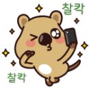 젊음의 거리 이미지