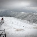 한마루약국 이미지