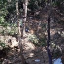 노암1리 행갈 이미지