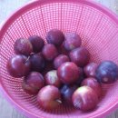 석민농장 이미지