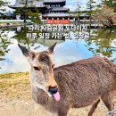 서봉지 공원 수중분 | 나라 여행 사슴공원 도다이지 입장료 가는 법, 당일치기 코스