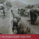 공설운동장(서편) 이미지