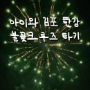 6살 아이와 한강 서울불꽃축제 명당 포기하고 김포 현대유람선 음악불꽃크루즈 타기 + 근처놀거리