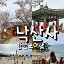제주불교성지 순례길 절로 가는길 - 정진의 길 | 낙산사 벚꽃 산책로 양양 해수관음상 홍련암 절경 템플스테이 정보