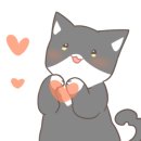 그레이스 고양이 병원 이미지