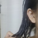 에이비씨병원 | [공지] 에이비씨코 탈모샴푸 추천 탈모부터 모발관리까지 홈케어두피케어 문제없어요.