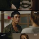 고고파파