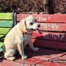 호명해와달 이미지