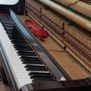 부산 센텀푸르지오 이미지