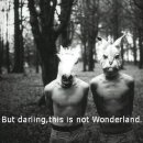 앨리스 인 원더랜드 이미지