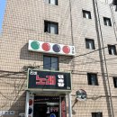 비바리움 유목 어디서 사지?｜애니멀리움 유목 &amp; 실리콘 구매 후기