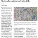 Single-cell metabolomics hits its stride 이미지