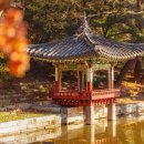 후곡약수터 | 식당 수돗물에서 갑자기 냄새가 나? 약수 백비탕 or 음양탕