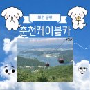 이디야죽도 | 춘천 삼악산 케이블카 애견동반 가능할까? 반려견 전용 캐빈 2대, 아이와 다녀온 후기