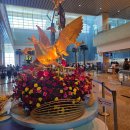 피자나라치킨공주김해내외점 | 초등학생 동반 4박6일 알마리조트 나트랑 여행