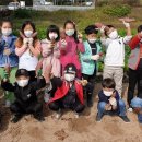 송곡초교 이미지