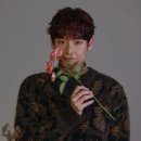 개 in 살롱 이미지