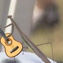 (기초) 통기타 이미지