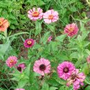 자은농장 이미지