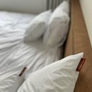 오느레맨션 이미지