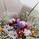 민주수경재배꽃집