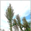 계화중학교 이미지