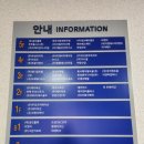 카페 디엣지 | 성동구아이스링크장 겨울방학 특강 추천 디엣지아이스링크 방문후기 (아이스스케이팅체험)