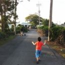 성산읍 고성리 352-4 이미지