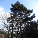 조령약수터 이미지