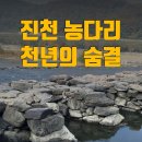 신성사거리~진천IC 이미지