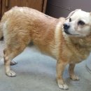 문수동물병원 이미지